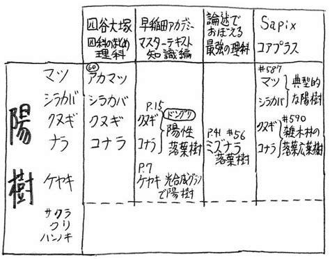 陽樹|陰樹と陽樹の違いと代表的な樹木 